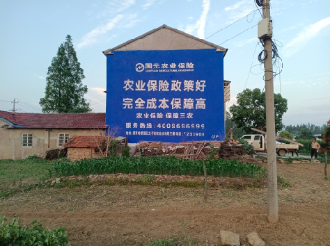 宁南墙体广告为何受追捧？