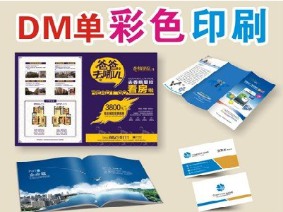 宁南单页印刷，色彩搭配简单。